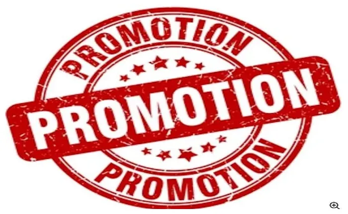 Do discord nft promotion,discord server by sandra_expertt fiverr