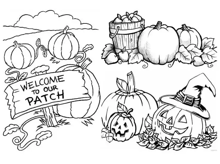Pumpkin patch to color coloring page free printable coloring pages