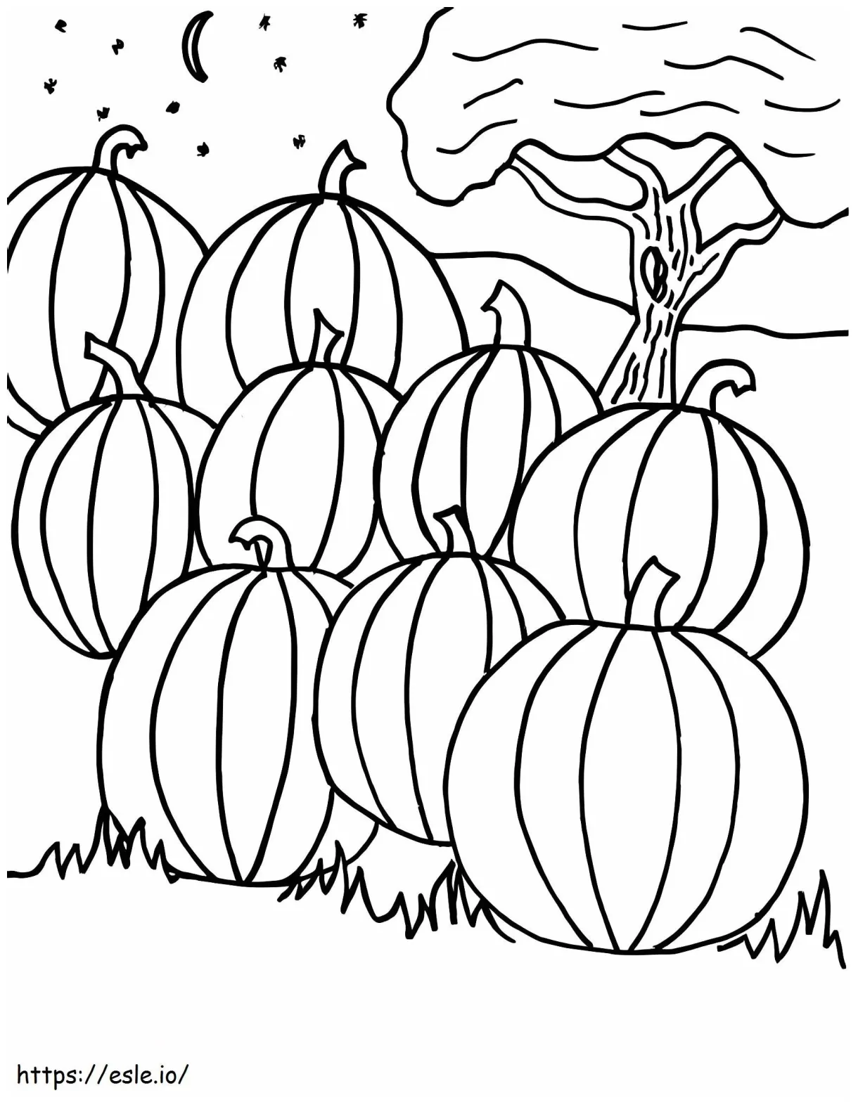 Pumpkin Patch Free Printable coloring page