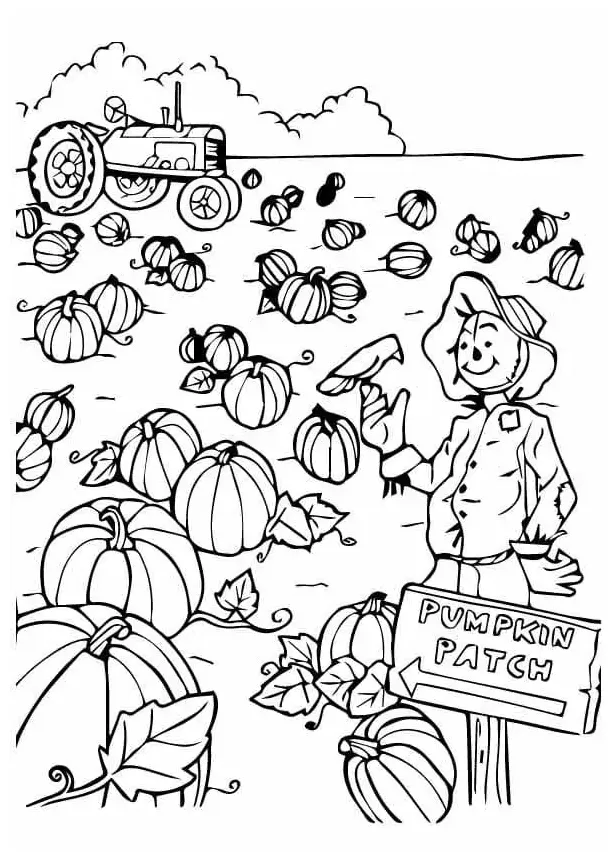 Printable pumpkin patch