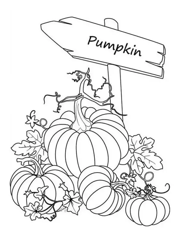 Fall pumpkin patch printable coloring page