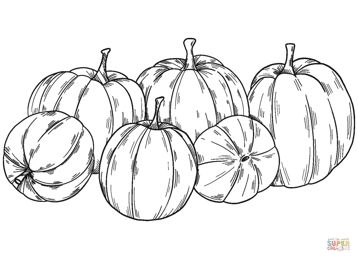 Pumpkin Patch coloring page | Free Printable Coloring Pages
