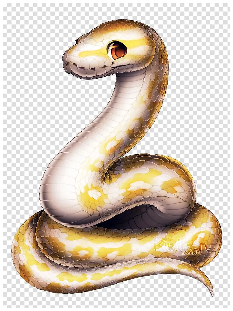 Python clipart