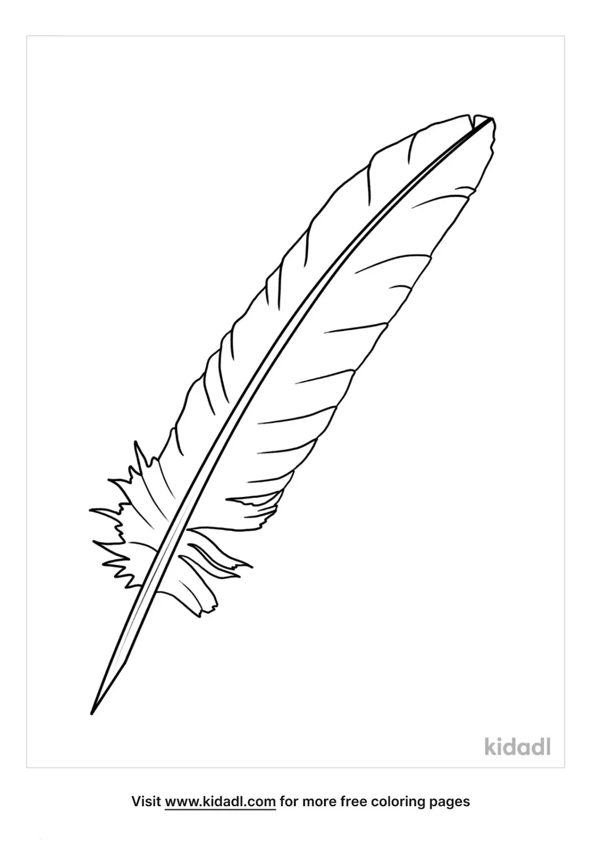 Free quill coloring page coloring page printables kidadl