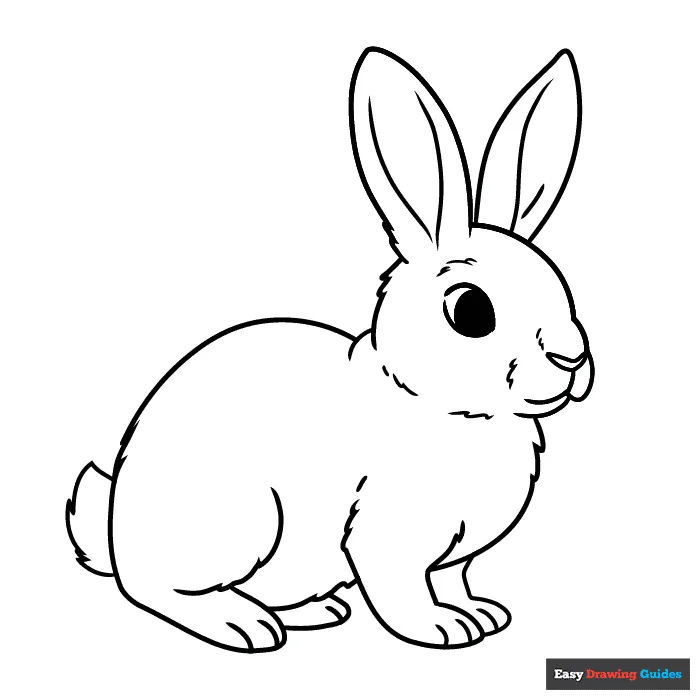 Rabbit Coloring Page | Easy Drawing Guides