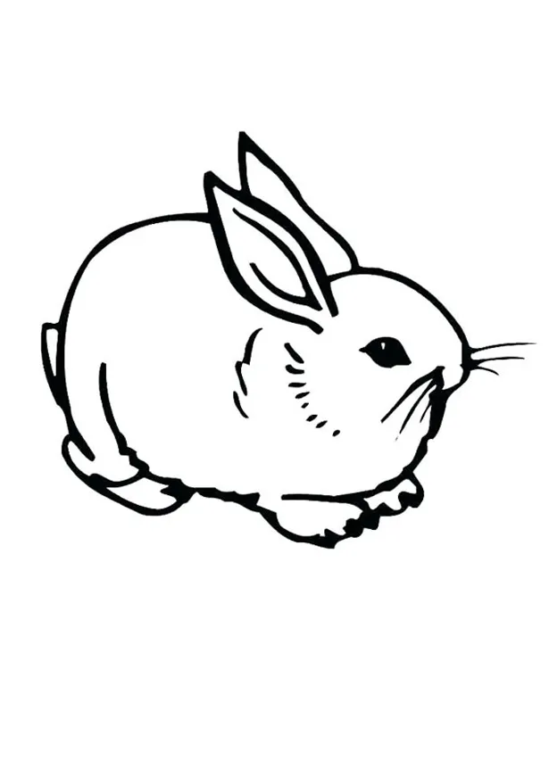 Coloring Pages | Rabbit Coloring Page