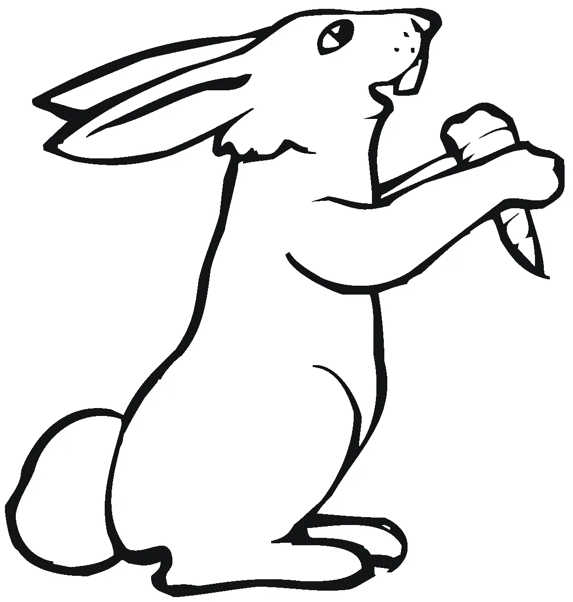 Big rabbit eating a carrot coloring page free printable coloring pages