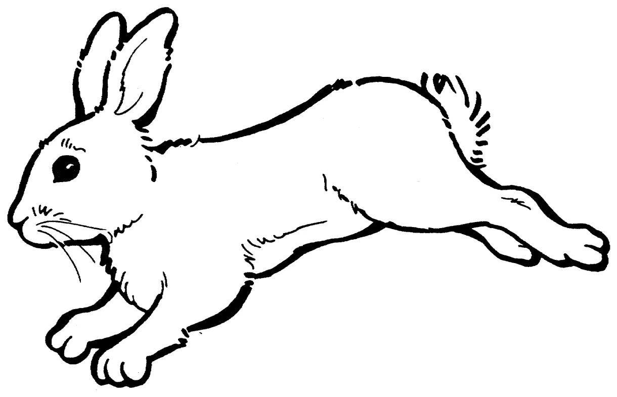 Free rabbit coloring pages