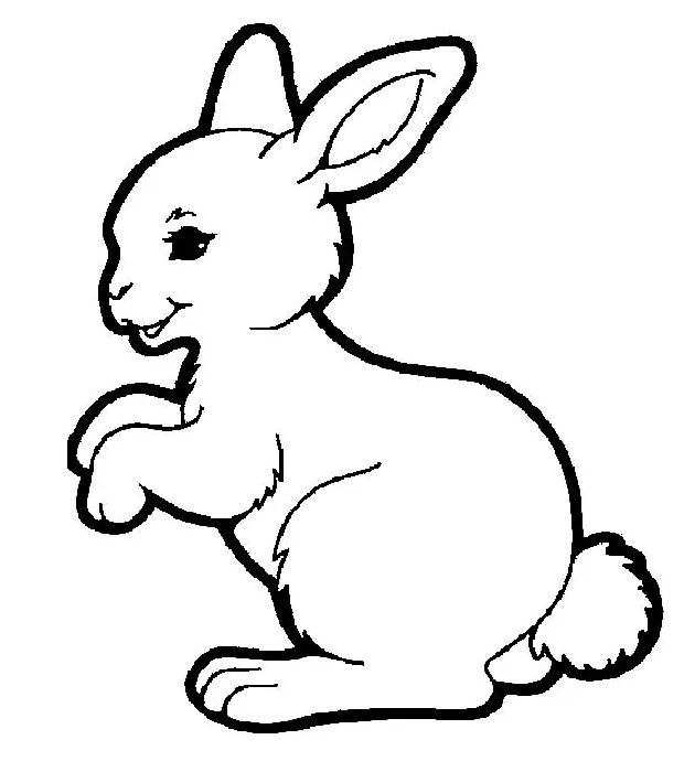 Adorable hopping bunny coloring pages kids play color