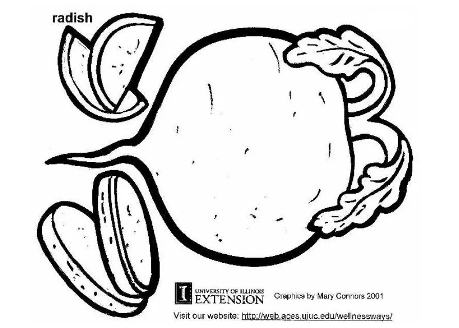 Coloring page radish free printables img 5891
