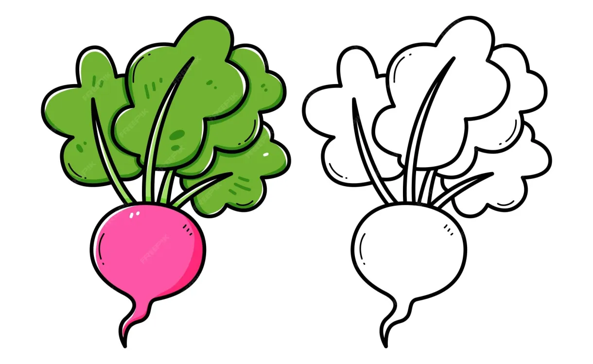 Premium vector radish coloring book with coloring example for kids printable coloring page