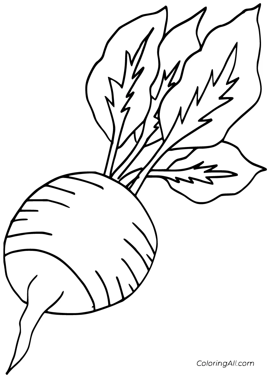 S 8 free printables coloringall