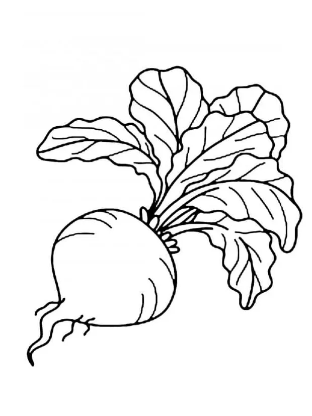 Download, print or color online for free