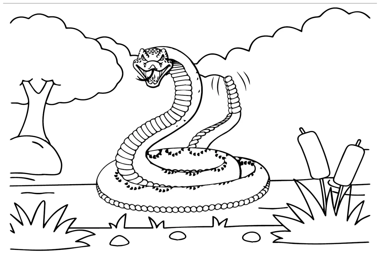 Pictures free printable coloring pages