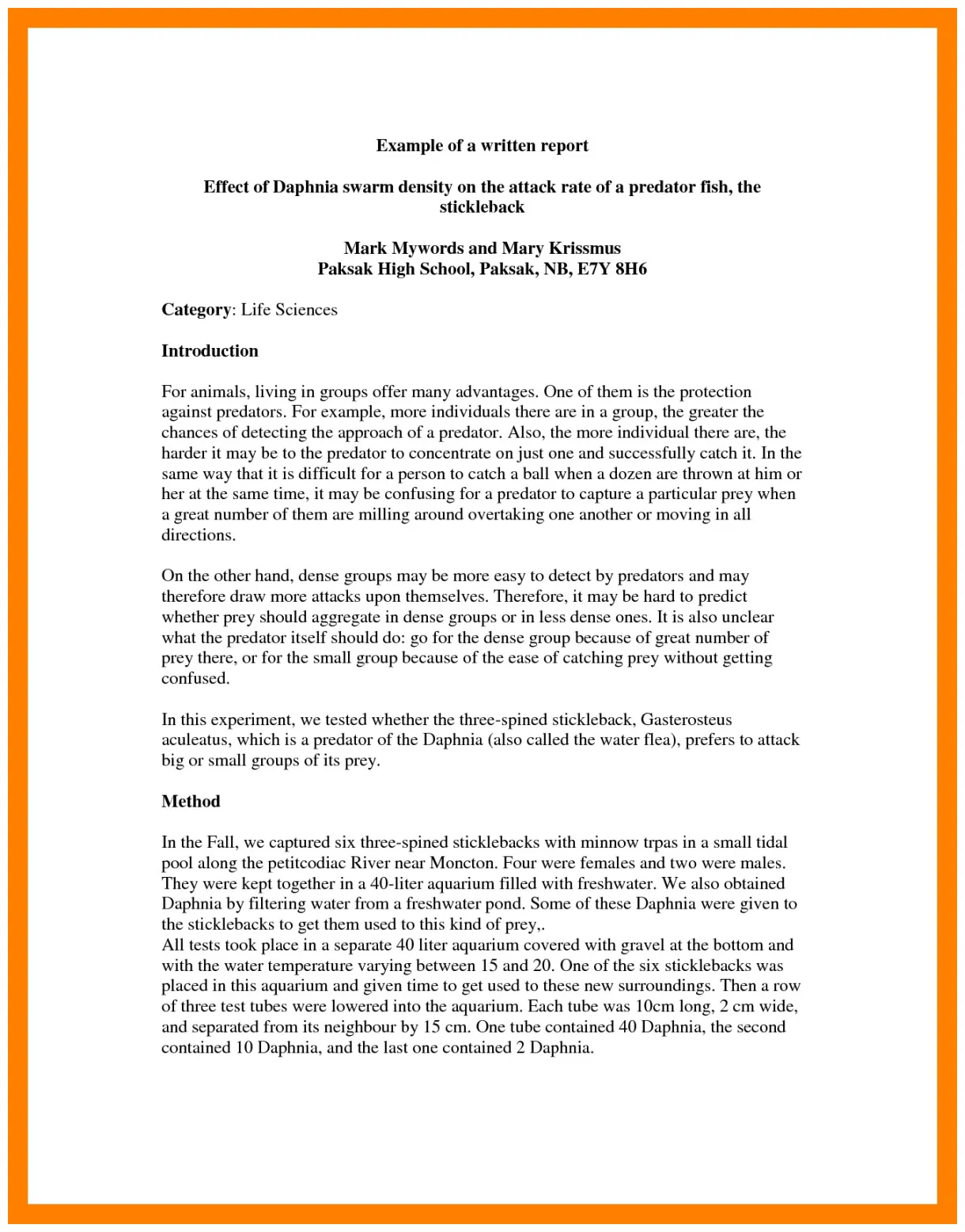 Report writing examples 19+ examples printable coloring page