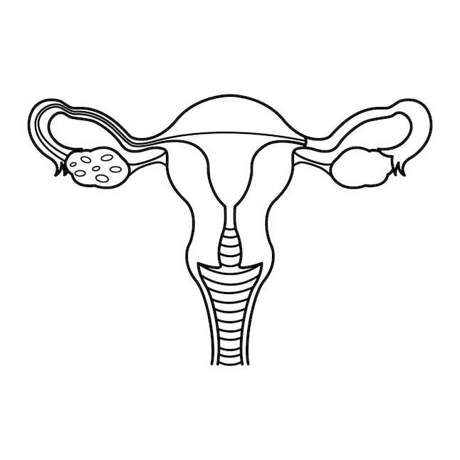 Reproductive System Coloring Pages - Coloring Nation