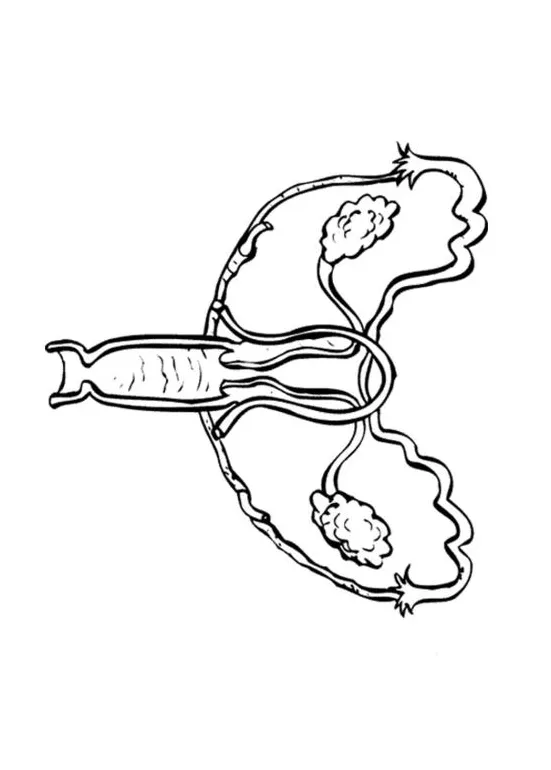 Female ariano blog printable coloring page