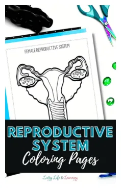 S free homeschool deals