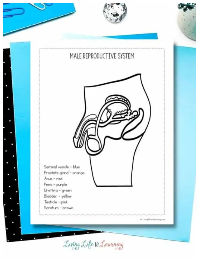 S story living life and learning