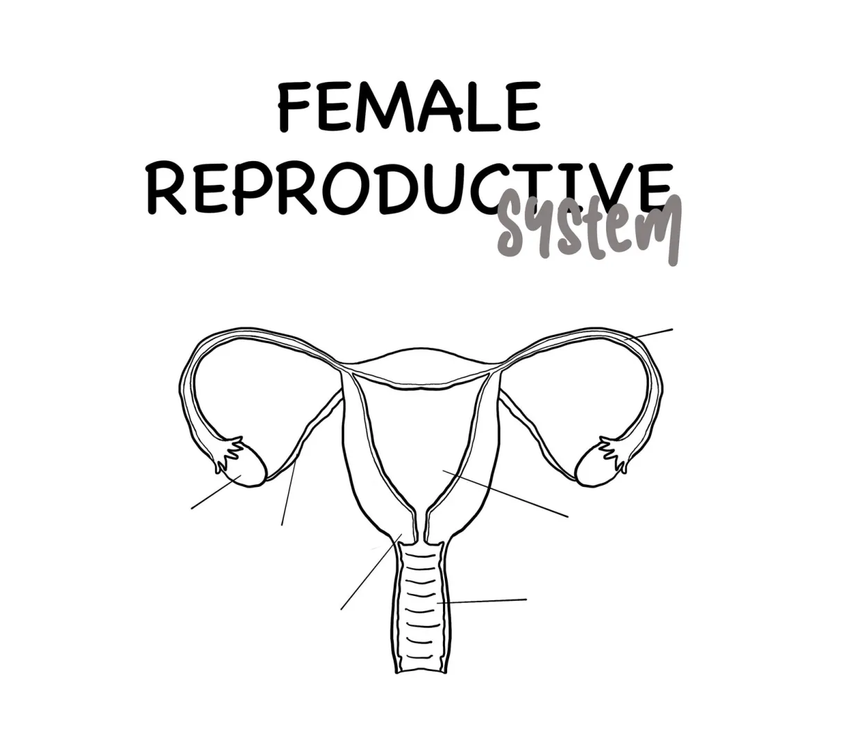 The best female references riset