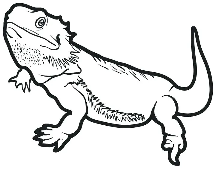 S at getcolorings free printable colorings