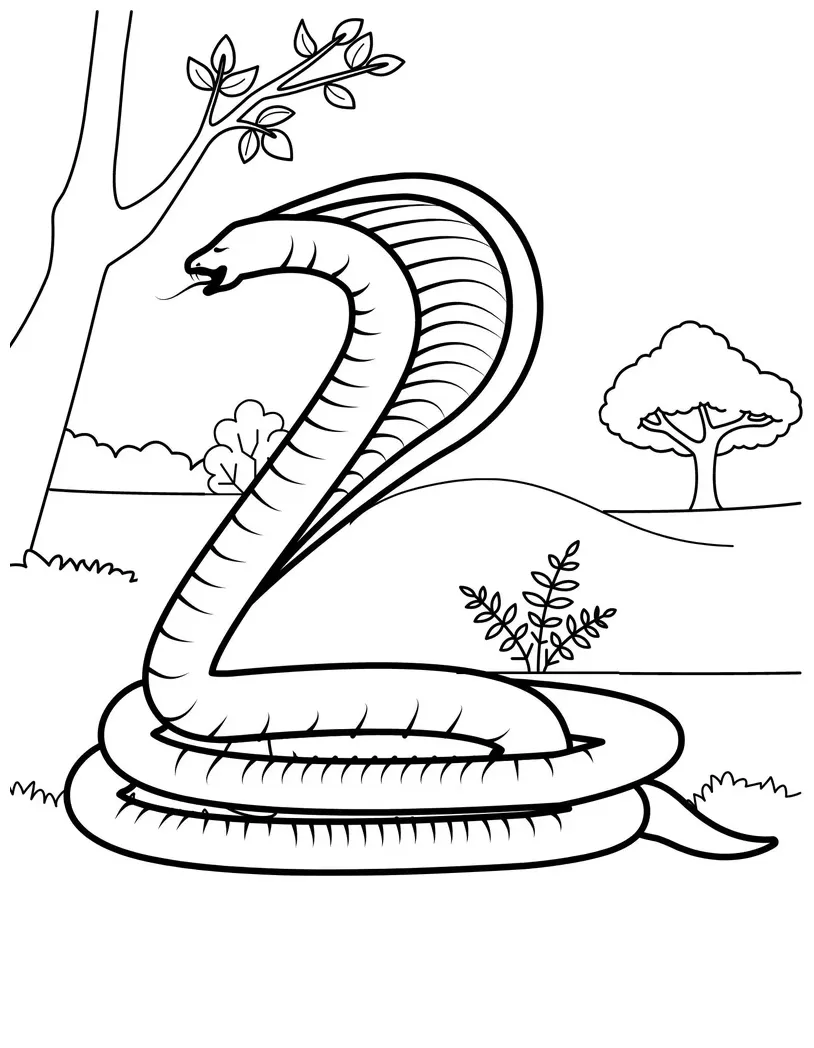 S reptile printables reptile coloring etsy