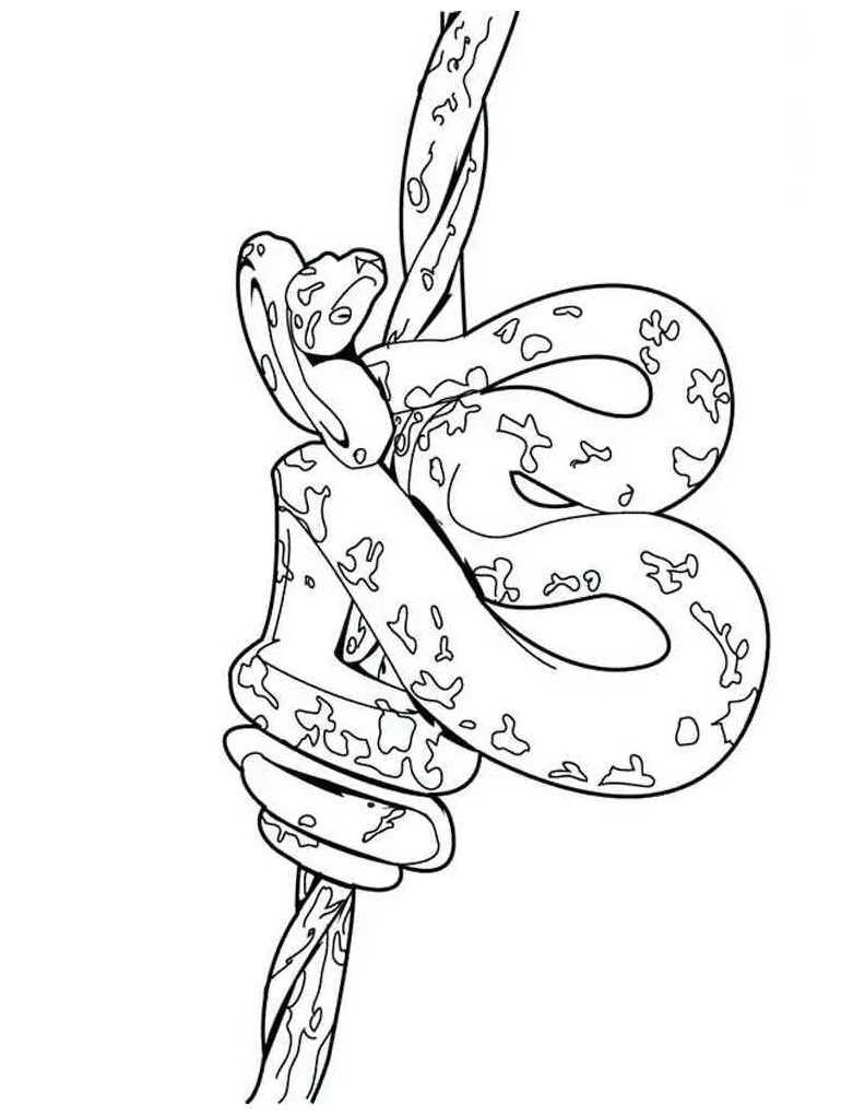 Reptile 4 coloring page