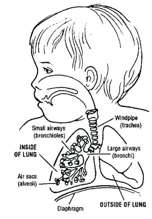 At getcolorings free printable