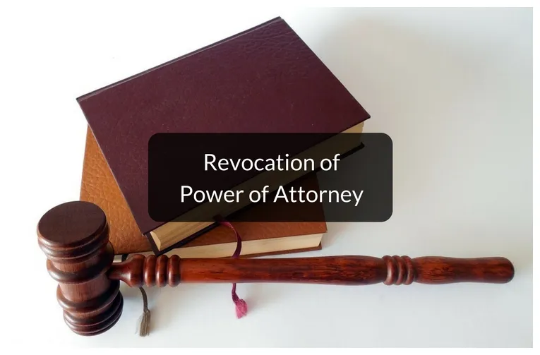 Everything you need to know