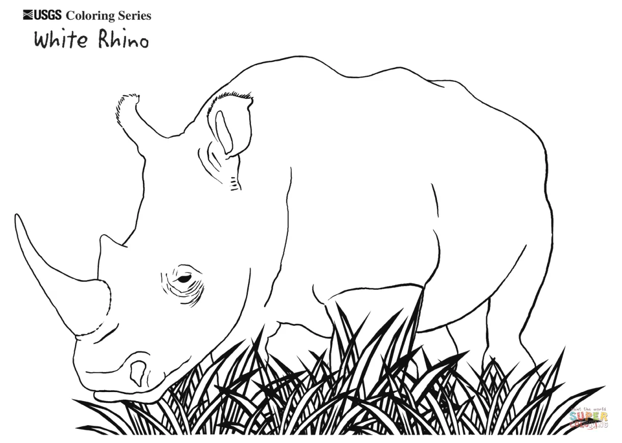 White rhino coloring page free printable coloring pages