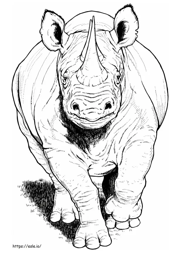 Rhino coloring pages coloring pages free printable coloring pages for
