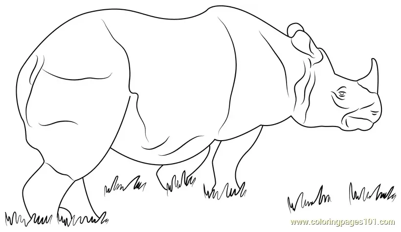 One horned rhino coloring page for kids free rhinoceros printable
