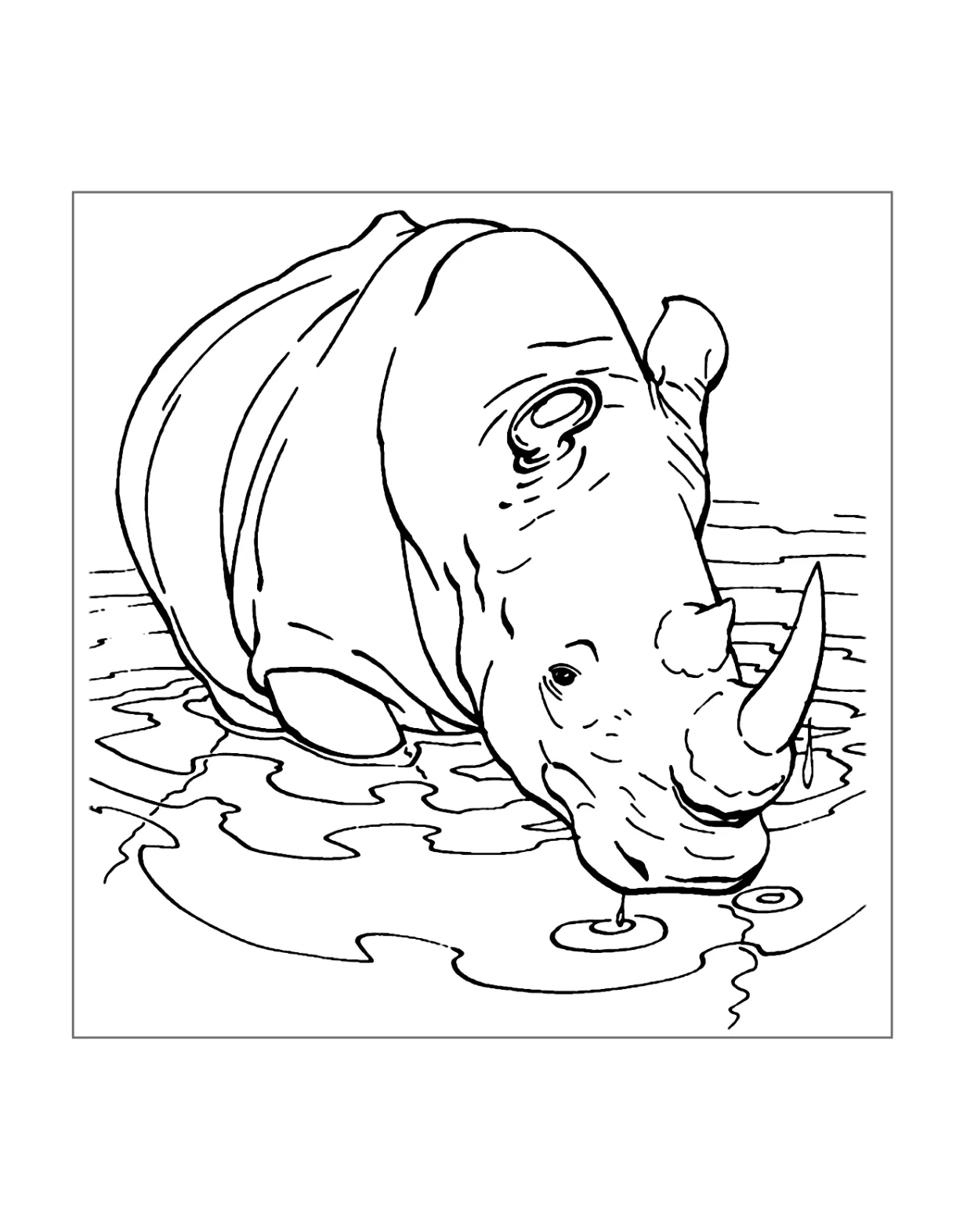 Rhino coloring pages printable coloring pages. free