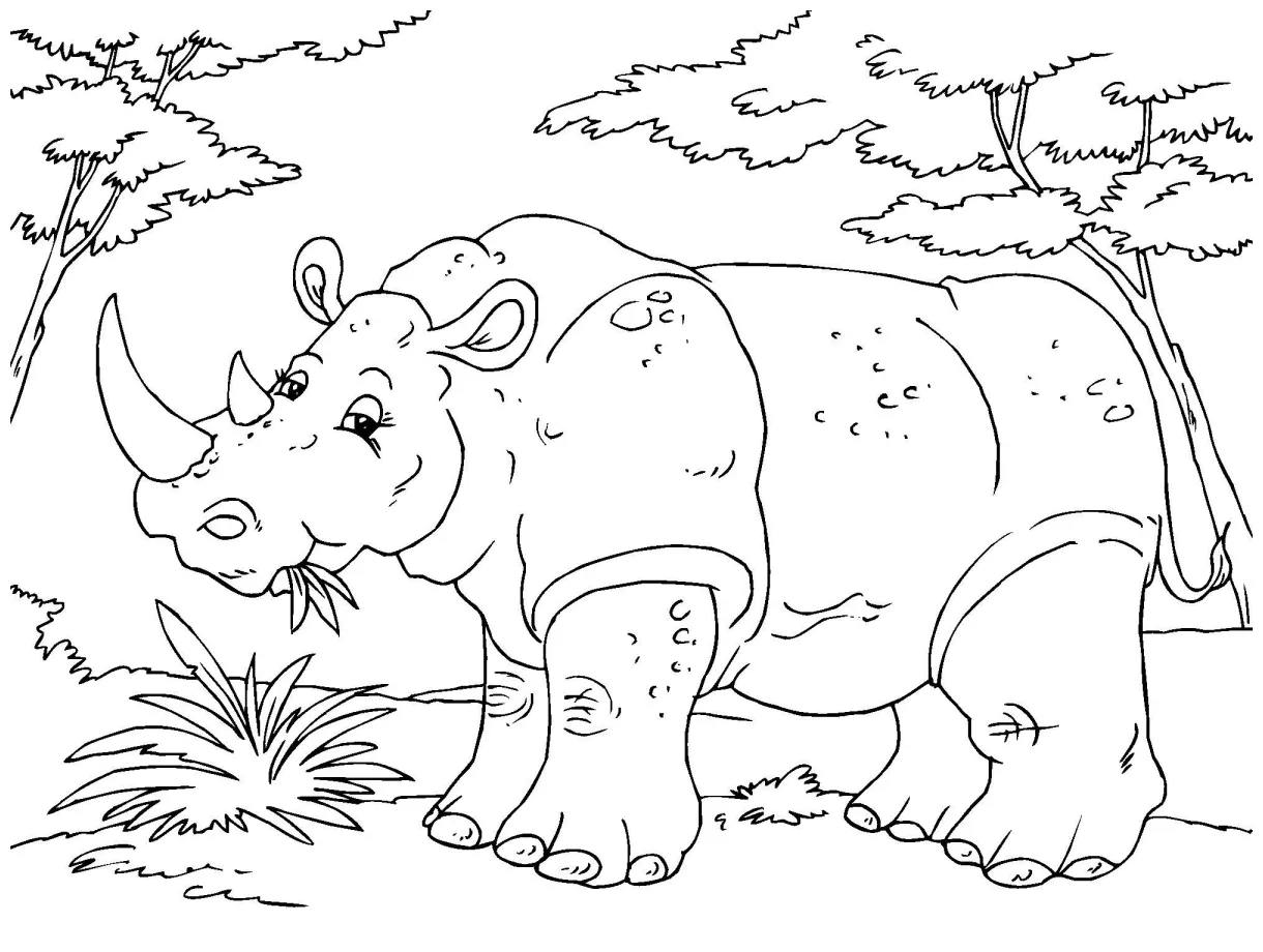 Coloring page rhinoceros free printables img 23021