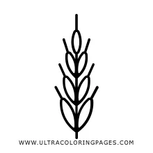 S for kids free s to