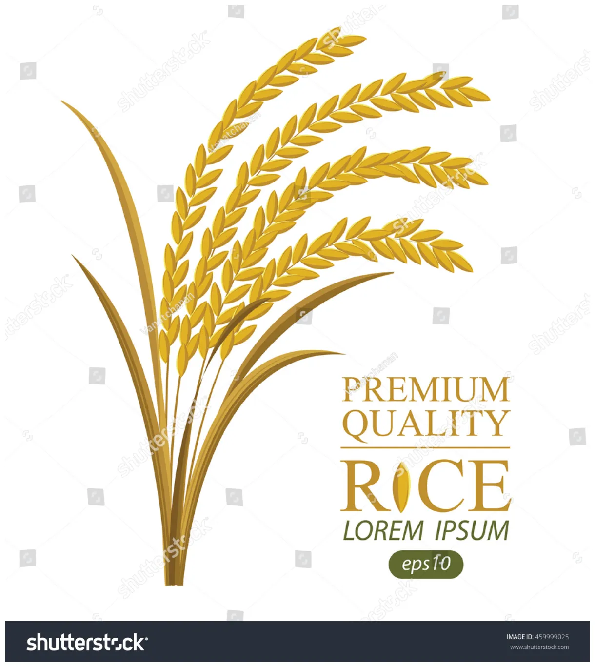 Rice paddy over 7,231 royalty-free licensable stock illustrations