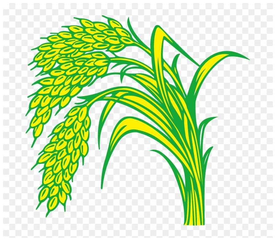 Download rice paddy field paddy line png clipart #3546752 pinclipart