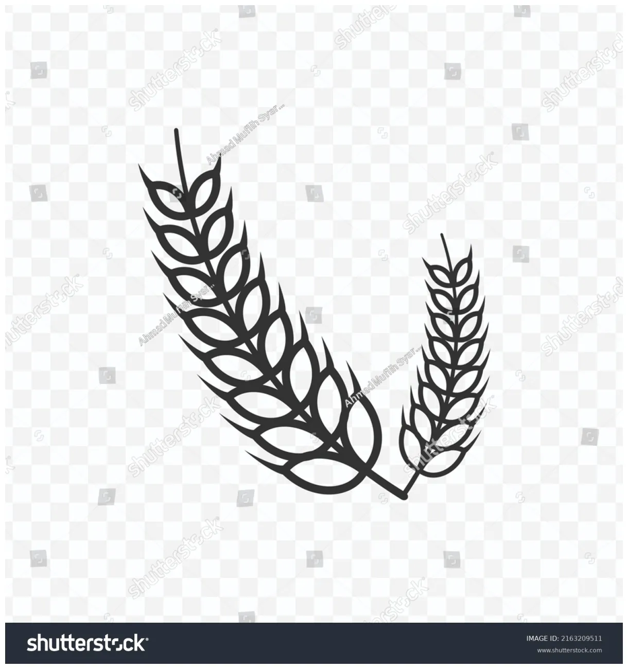 5 rice paddy png s, s & vectors shutterstock