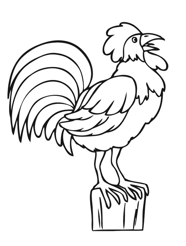 Crowing rooster coloring page funny coloring pages