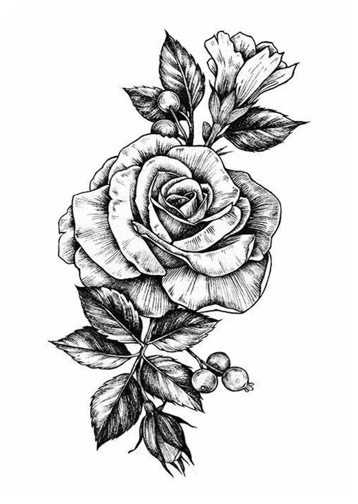 ลายเส้นดอกกุหลาบสวยๆ รวมรูปภาพขาวดำแนวสวย เท่ อาร์ต mumeaw