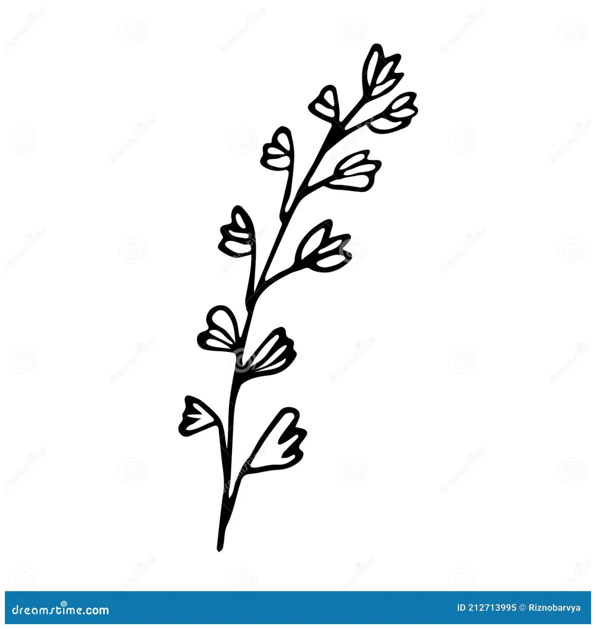 A sprig of rosemary. hand drawn sketch style illustration stock vector