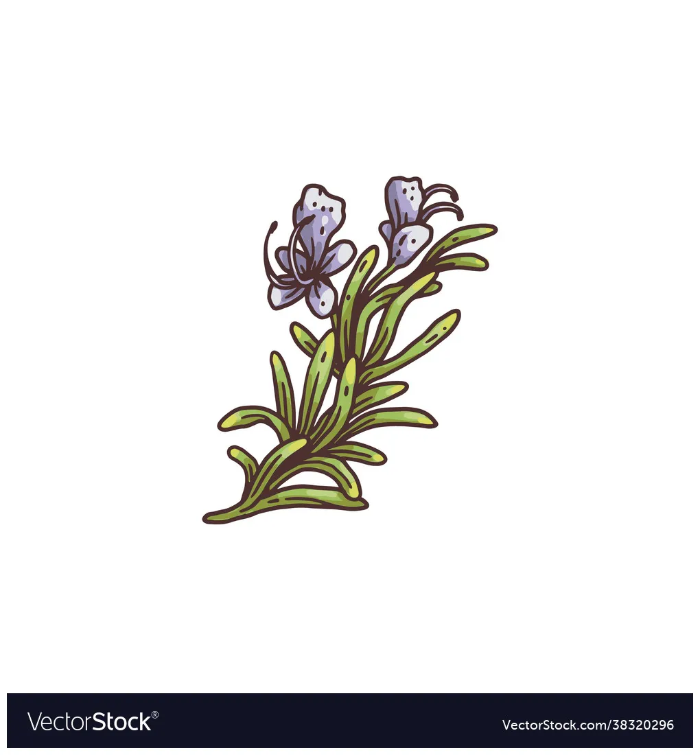 Rosemary sprig