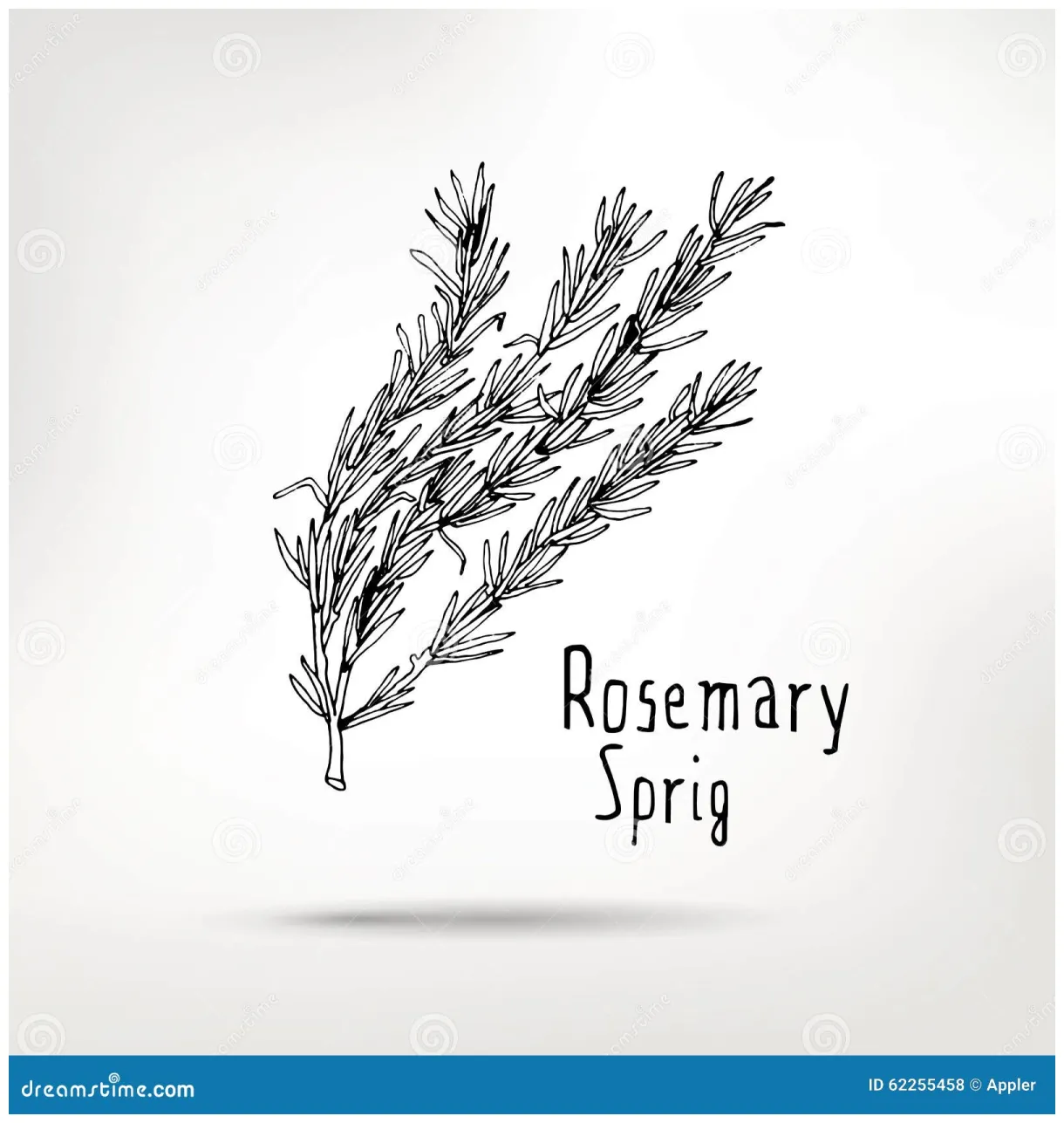 Rosemary sprig