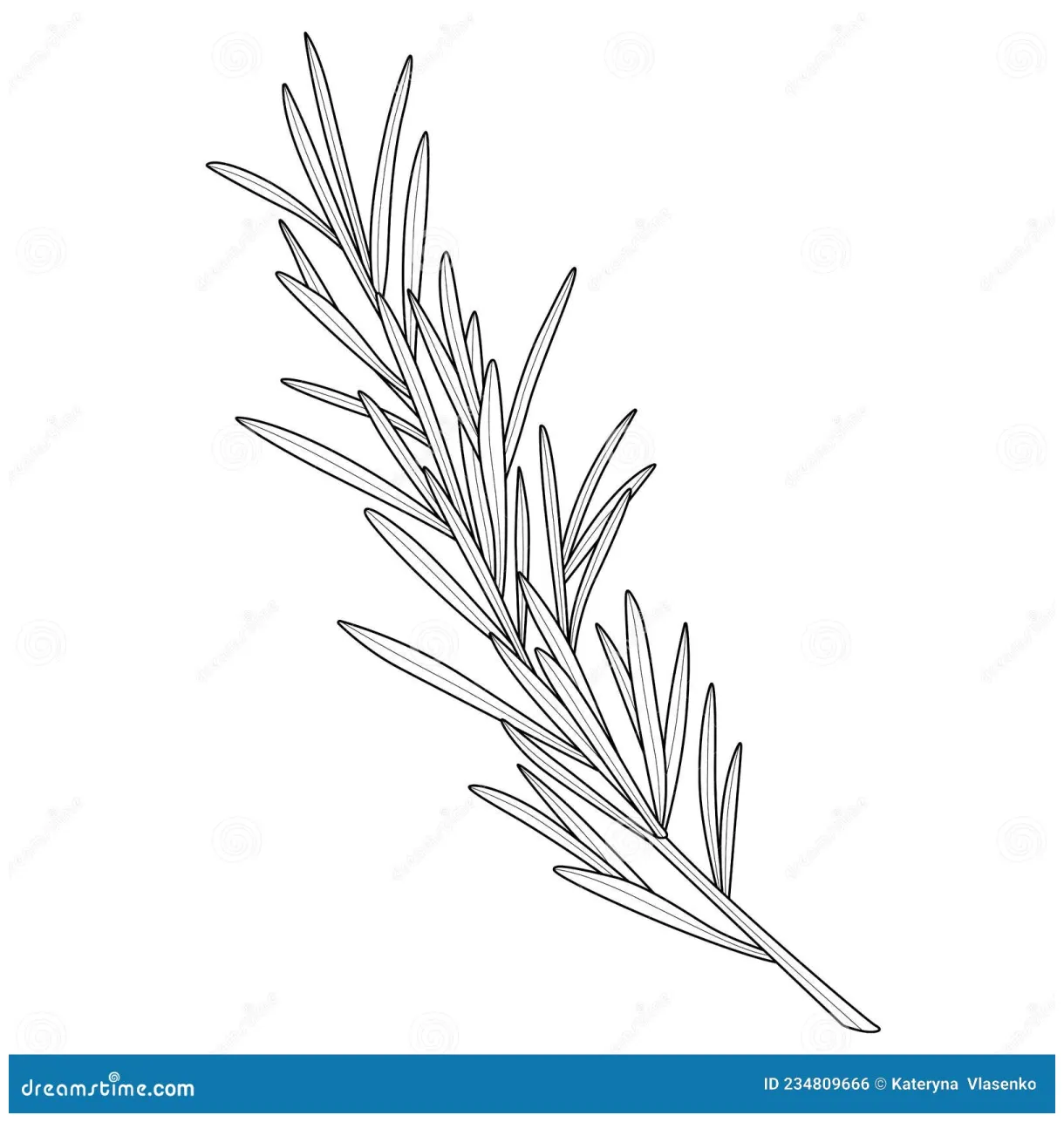 Sprig of rosemary loring book antistress for children and adults