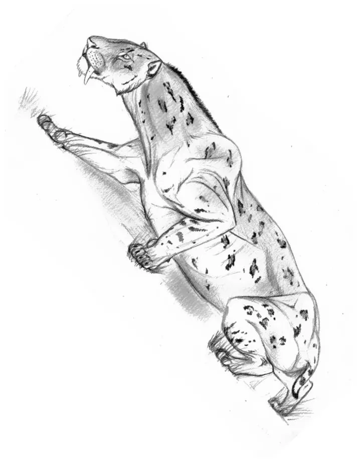 Coloringus printable coloring page