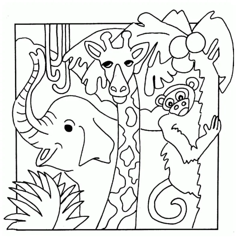 Safari animals coloring page coloring home