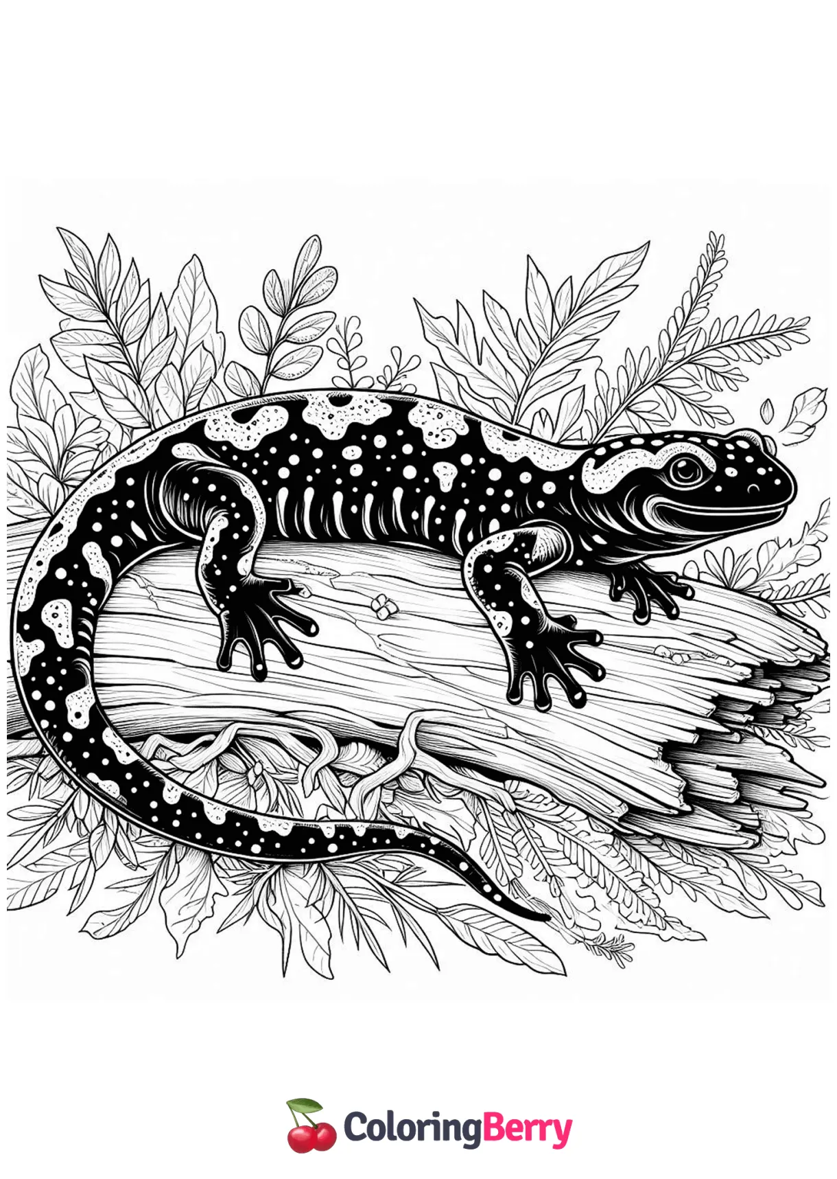 Detailed Salamander Coloring Page (Free PDF Printable)