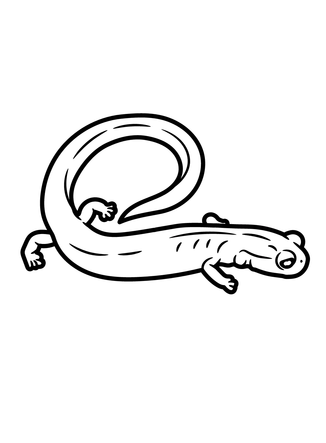 20+ Salamander Coloring Pages - Free Printable PDF & Online Coloring
