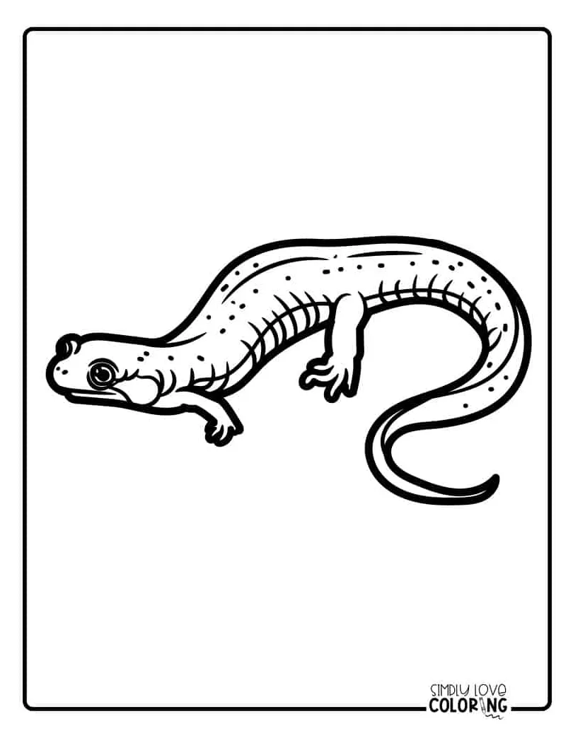 Free Salamander Coloring Pages - Simply Love Coloring
