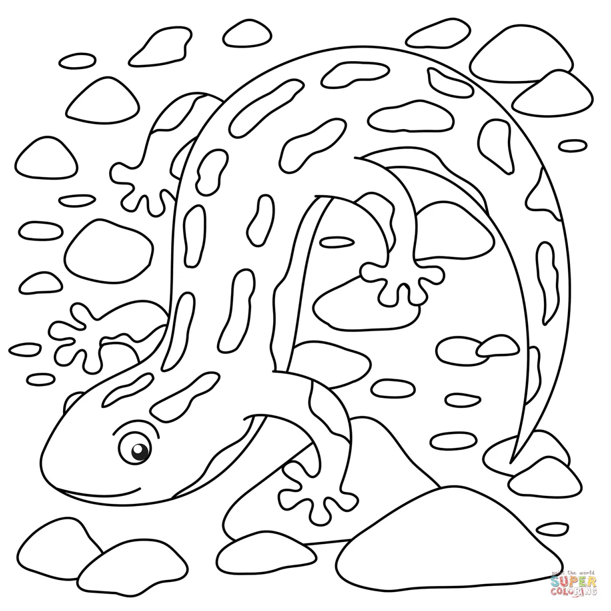Cute Salamander coloring page | Free Printable Coloring Pages
